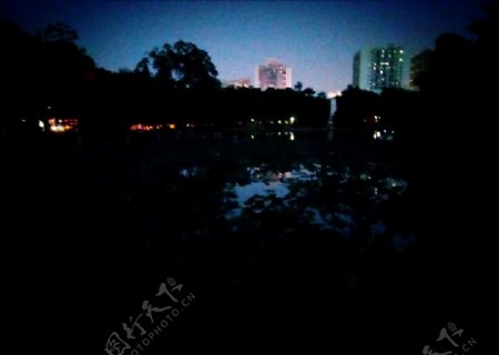 夜晚的池塘