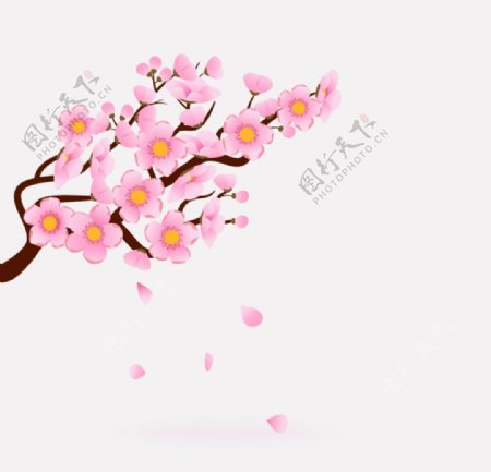 粉红色的樱花树