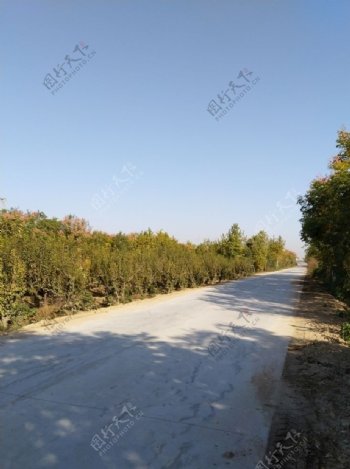 乡村道路风景