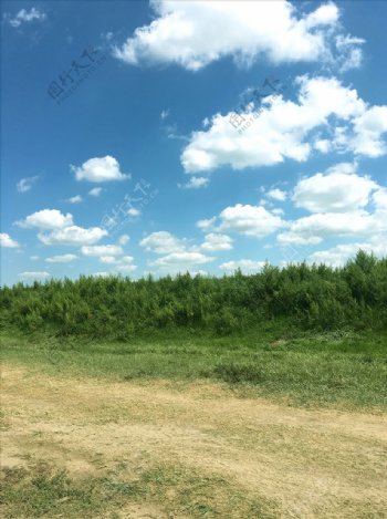 草原风景