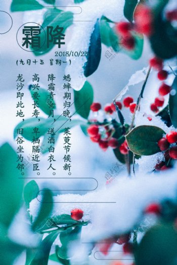 植物背景简约霜降节日海报