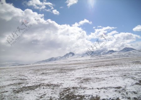 西藏雪山草原
