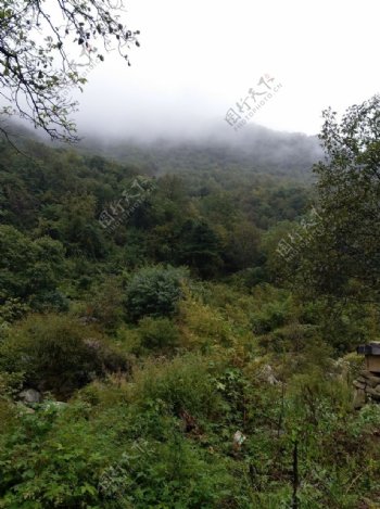 大山里的风景