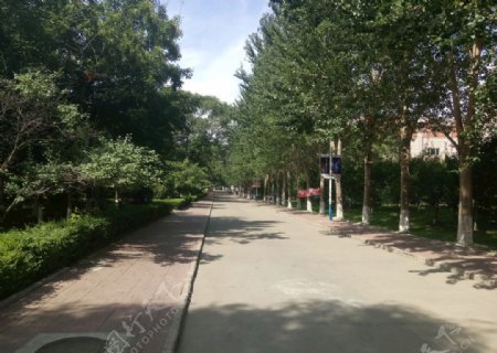 佳木斯大学通往实验楼的道路
