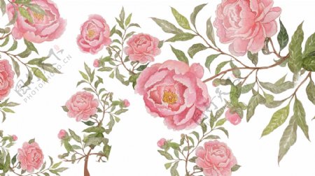 小清新粉色玫瑰花背景设计
