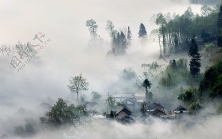 云雾缭绕的乡村风光