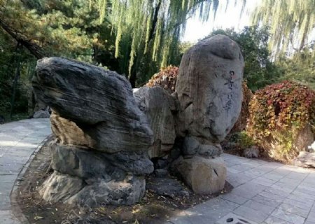 陶然亭公园石头