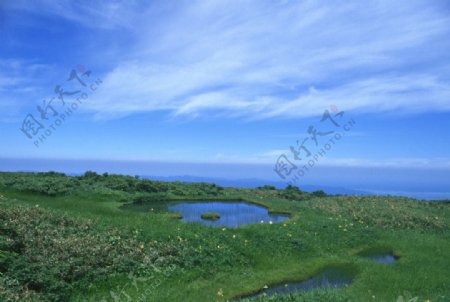 草原湿地