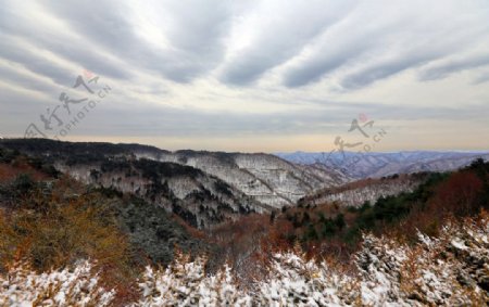 冬日里的河道风景