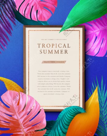 夏季热带植物花卉树叶海报设计