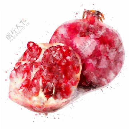 水果石榴红色水彩手绘元素