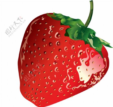 新鲜有机水果草莓矢量图