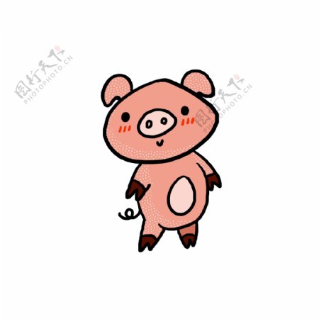 2019春节猪年卡通可爱插画原创商用手绘