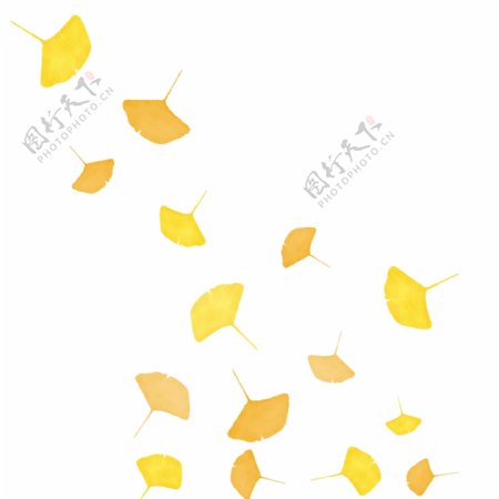 秋天黄色银杏叶漂浮飘落文艺素材