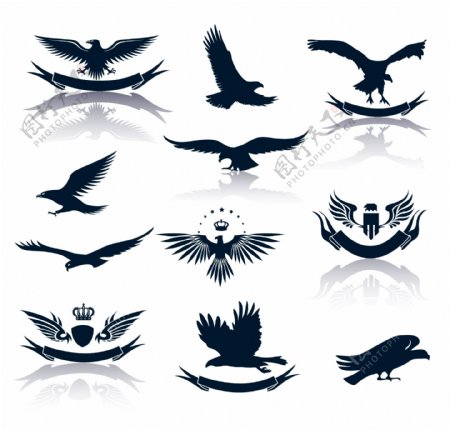 老鹰标志设计