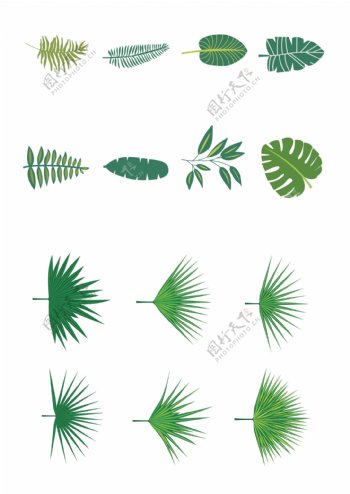 手绘热带植物绿叶素材