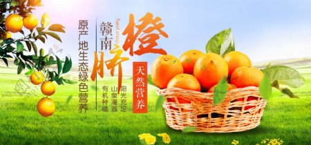 淘宝天猫秋季水果橙子脐橙海报banner