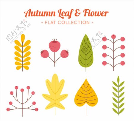 8款扁平化秋季树叶和花卉矢量图