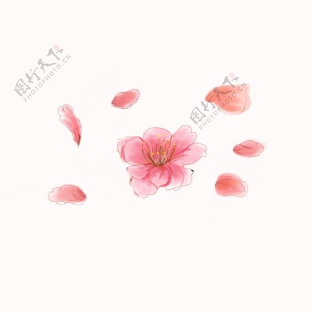 粉红色漂浮桃花花瓣可商用