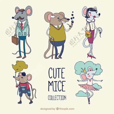 5款彩绘着装老鼠