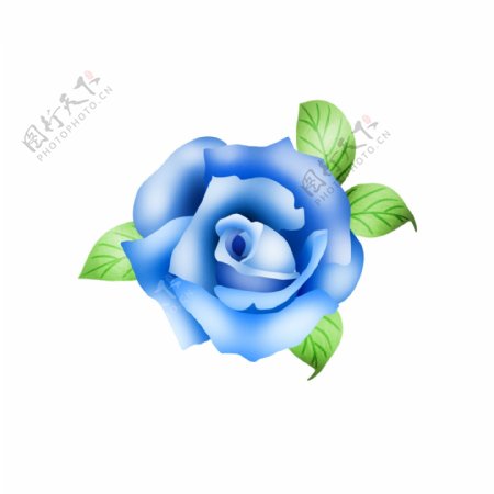 大气矢量手绘蓝色玫瑰花