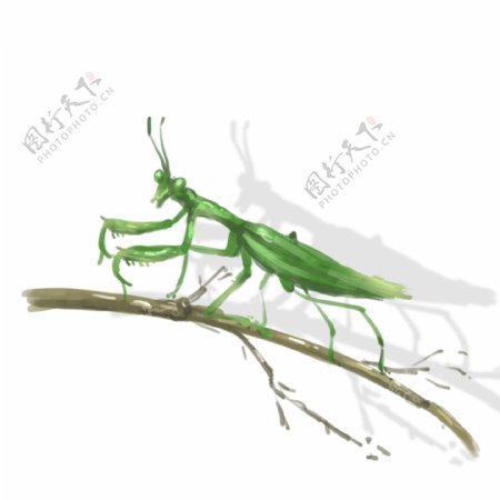昆虫元素手绘中国风蜻蜓透明底可商用素材