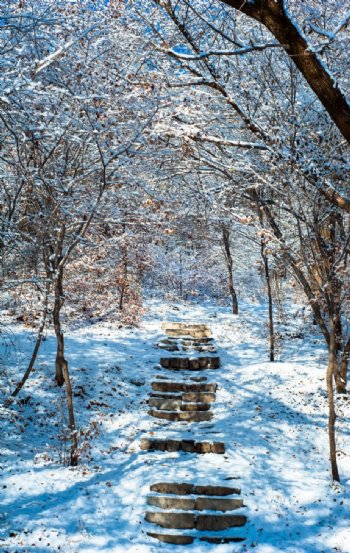 雪中步道