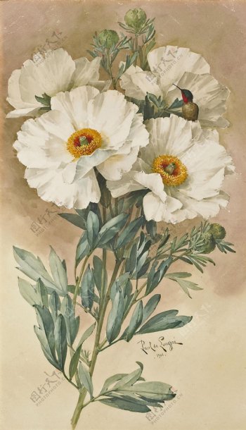 油画手绘花朵