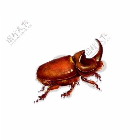 手绘中国风昆虫甲壳虫千牛飞行虫子动物素材