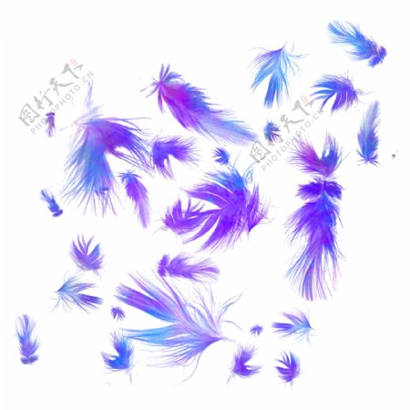 飘落蓝紫色渐变羽毛漂浮设计元素背景底纹