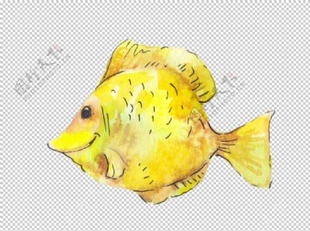 黄色手绘鱼类图案