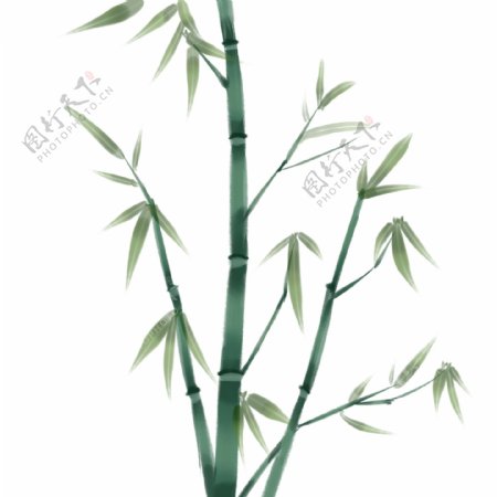 水墨绿色竹子插画