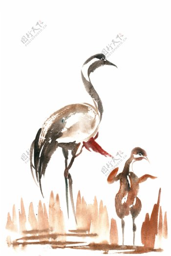 草丛中的鸟水彩画PNG免抠素材