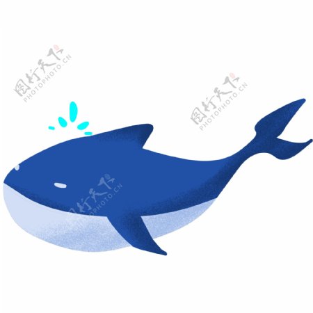 梦幻鲸鱼海洋生物手绘插画