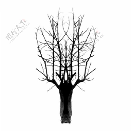 手绘简约冬季黑白枯树木剪影可商用素材