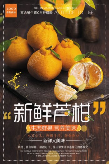 新鲜芦柑水果美食海报