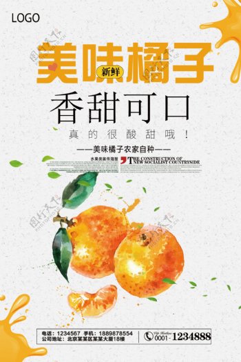 小清新橘子宣传海报
