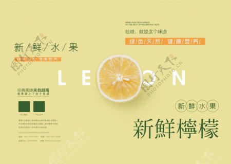 时尚新鲜柠檬水果画册封面