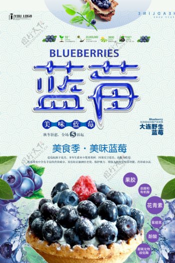 蓝莓新鲜上新海报.psd