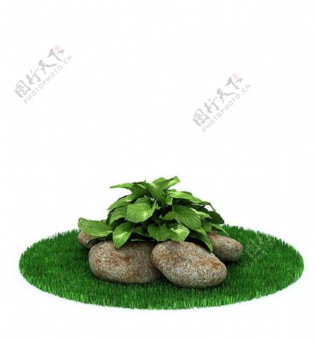 个性园艺绿植3d模型
