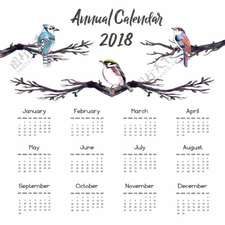彩绘树枝鸟2018年年历矢量图