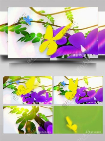 卡通蝴蝶花朵分段矢量ae模板