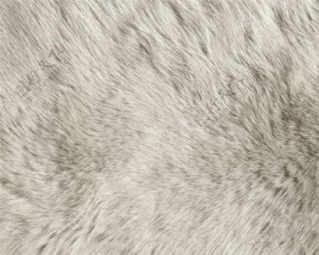 白色羊毛动物填充纹理背景素材