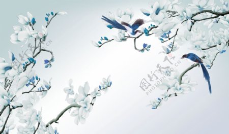 白色玉兰花背景植物画
