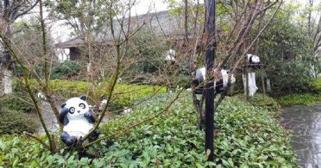 风车熊猫温泉活动
