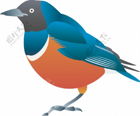矢量卡通小鸟动物AI文件