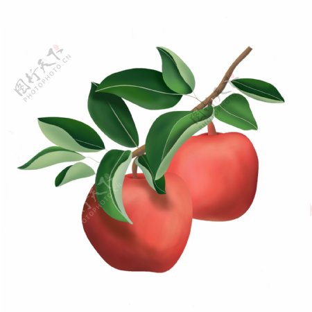 卡通红苹果水果png元素