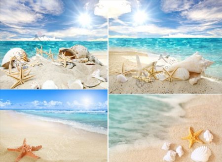 沙滩海星海景高清风景画