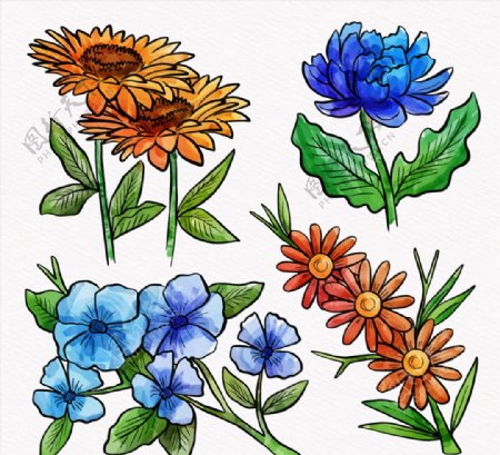 4款手绘逼真花卉设计矢量素材