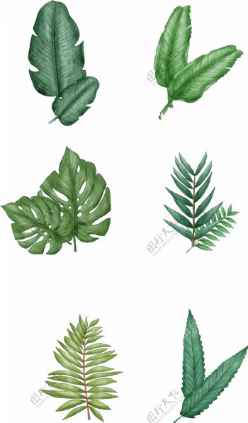 绿色卡通植物图案